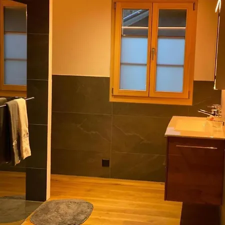 Bruenig Mit Zwei By Interhome Meiringen