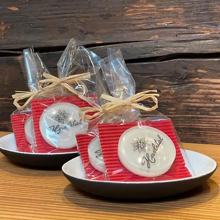 Bruenig Mit Zwei By Interhome * Meiringen